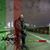 Adrian De La Torre's profile image