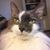 Karla Hummel's profile image
