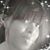 Beverly J Busby-Smith's profile image