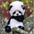 Lena Lenutica's profile image