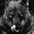Raul Rolan's profile image
