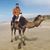 Luke Pratte's profile image