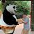 Tracy Pevehouse-Pfeiffer's profile image