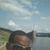 Chauncey Jorden's profile image