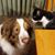 Heide Keith's profile image