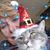 MerriJo Wurst Lineberry's profile image