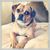 Margie Lanigan's profile image