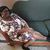 Francine Davis's profile image