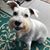 Jeannette Rockwood's profile image