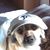 Abe Kapulsky's profile image