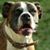 Jeff Saylor's profile image