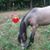 Sandy Lynn Price's profile image