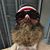 Jimmy Ivey's profile image