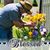 Diana Kozlowski's profile image