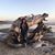 Jodi Kincaid's profile image