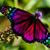 Yvette Broussard's profile image