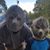 Dustin Cramer's profile image