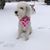 Margaret Grabski's profile image
