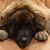 Julie Killgoar's profile image