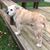 Ann Williamson Bergstrom's profile image