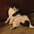 Jody Wurster Miller's profile image