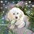 Patricia Monahan Joda's profile image