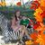 Tabatha Stout's profile image