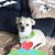 Nancy Kester's profile image