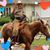 Debbie Evelhoch's profile image