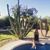 Shelby Broders's profile image