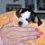 Brenda Follin's profile image