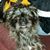Debbie Buckley's profile image