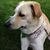 Mary Wehling's profile image