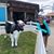 Cathy Coker's profile image