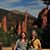 Linda Ann Dongworth Engelmann's profile image