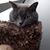 Joan Redick's profile image