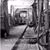 Julie Cranmer Shutt's profile image