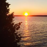 Wendi Corelli's profile image