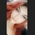 Lei Lei's profile image