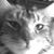 Christie Smith's profile image
