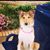 Julie Anderson Copeland's profile image