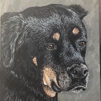 Norma Laveck's profile image