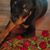 Brenda Huddleston's profile image