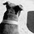Elijah E. Charley's profile image