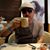 Elle Gamboa's profile image