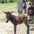 Binnie Houghton's profile image