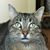 Lori Bass's profile image