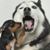 Karen Fry's profile image