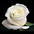 Tyiaria Jackson's profile image