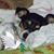 Karen Wright Houston's profile image
